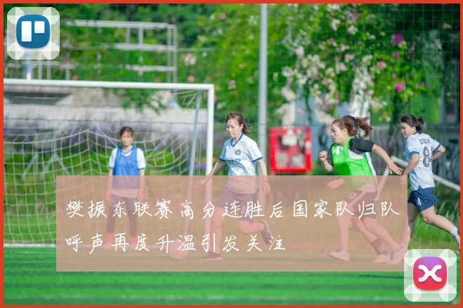樊振东联赛高分连胜后国家队归队呼声再度升温引发关注